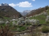wiosna w Albanii