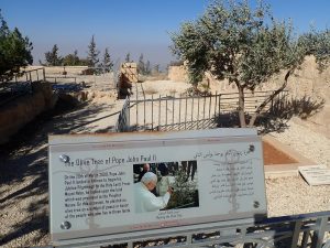 Jan Paweł II sadzi drzewo oliwne na Górze Nebo